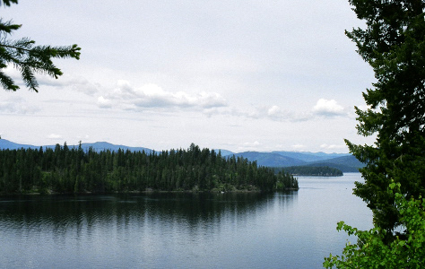 [Looking through trees at a lake which seems to be meandering on its edges. There are many evergreens on the far shore which appears to jut into the lake.]